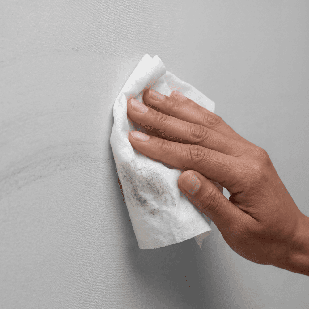 Mold Dust Surface Test